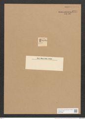 Surirella cocconeis Ehr. (de-Toni-Nr.: Genus 53, Species 2332) Zeichnungen Sammlung Grunow Nr. 4771 (NHMW-BOT-W0372895)